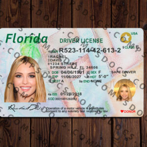 Florida Driving License